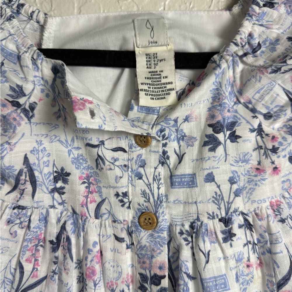 Joie Blue and Pink Floral Blouse